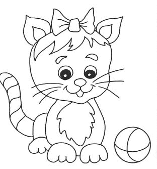 Cats 20